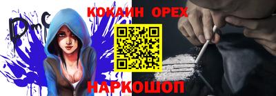 spice Владимир