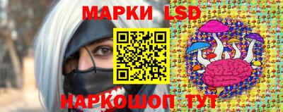 Альфа ПВП Владикавказ
