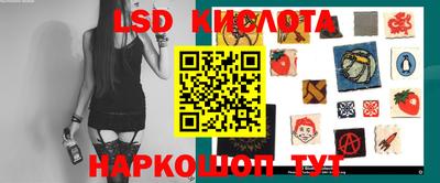 spice Владимир