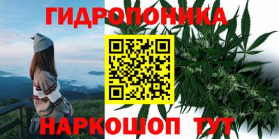 Альфа ПВП Владикавказ