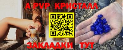 Альфа ПВП Владикавказ